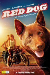Рыжий пес / Red Dog (2011)